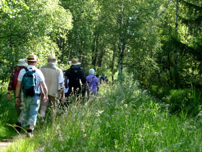 En suivant les marais de Bad-Wurzach