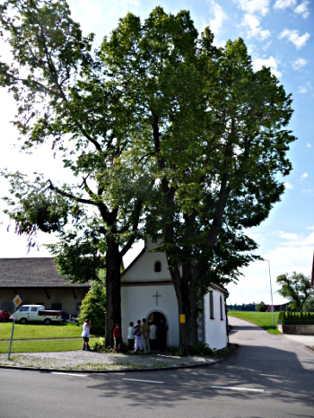 La chapelle Von Adlers où le père Friedrich Emde a célébré la messe devant les 45 promeneurs St Colomban 