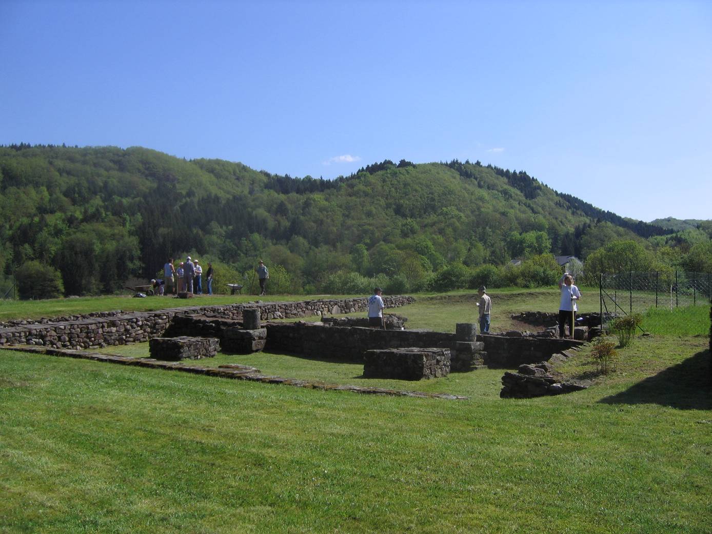 annegrayAN36/phtoAASC