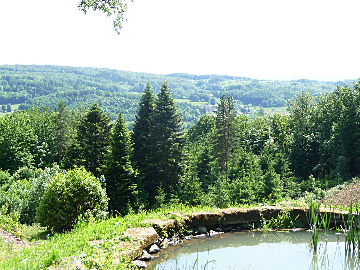 Vue de la vallée du Breuchin depuis la chapelle St. Colomban