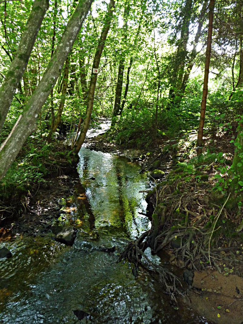 La Roge, principale source motrice des féculeries et usines du vallon du Ru de la Roge jusqu'au XIXe siècle