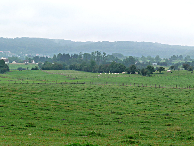 Forêts et cultures se côtoient